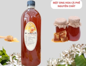 Mật ong hoa cafe