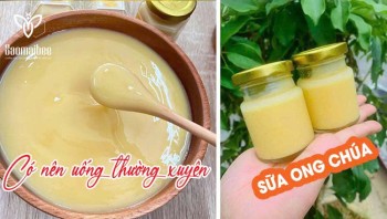có nên uống sữa ong chúa thường xuyên